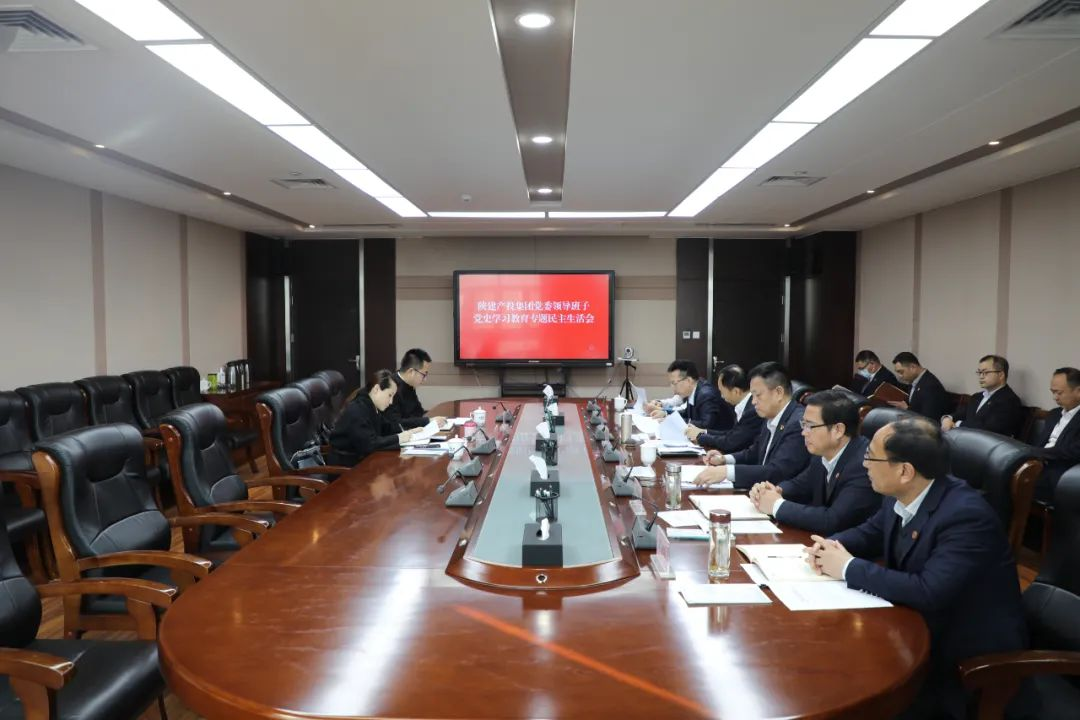 陜建產(chǎn)投集團(tuán)召開黨史學(xué)習(xí)教育專題民主生活會(huì)